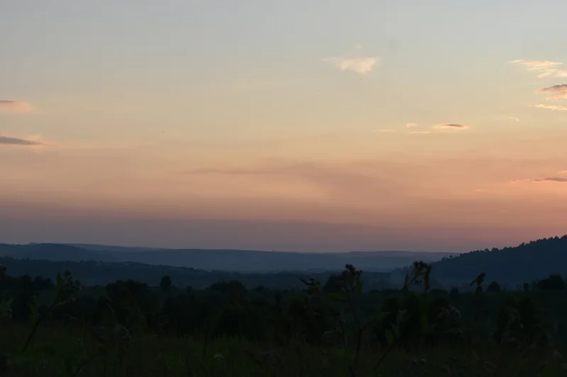 Grafica scura con forme morbide e testo